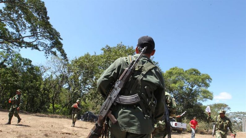 Detienen a disidente de FARC que asesinaba líderes sociales y excombatientes. (EFE / MAURICIO DUEÑAS CASTAÑEDA / Arquivo)