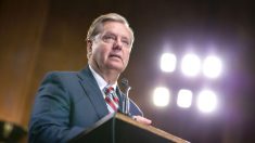 «No necesito ningún testigo»: Graham promete poner fin rápidamente al impeachment en el senado