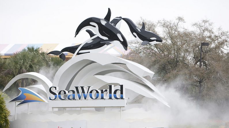 Letrero en la entrada de SeaWorld el 24 de febrero de 2010 en Orlando, Florida. ( Matt Stroshane/Getty Images)