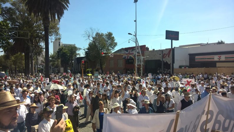 A un año de gobierno de Andrés Manuel López Obrador, la ciudadanía salió a las calles para pedir al gobierno un alto a la violencia e inseguridad, así como mejores resultados en materia de salud y economía. (La Gran Época)