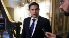 Rubio: Los medios están «obsesionados» con el impeachment, ignoraron la nómina de jueces conservadores