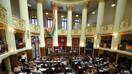 Bolívia elege Supremo Tribunal Eleitoral para realização de novas eleições