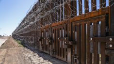 Jefe de CBP no está seguro si el muro fronterizo estará terminado para 2021