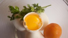 Las evidencias sugieren que deberíamos comer menos huevos