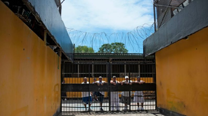 Miembros de la pandilla MS-13 permanecen en la prisión de Chalatenango, 84 km al norte de San Salvador, el 29 de marzo de 2019. (MARVIN RECINOS/AFP a través de Getty Images)