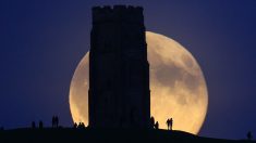 Prepárese para la extravagancia lunar de 2020: 10 lunas llenas, 2 superlunas y una luna azul