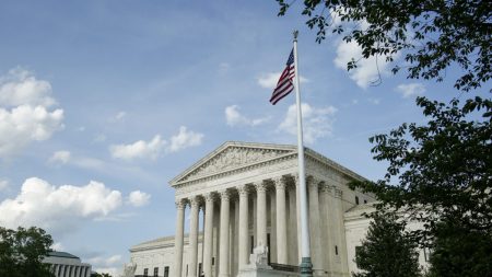 Gobiernos y grupos de inmigración instan a la Corte Suprema a no apelar nuevas cargas públicas