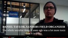 Captados empleados de la campaña de Sanders planificando el movimiento «militante», «acción extrema»