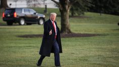 Trump planea viajar a Davos durante el juicio del impeachment