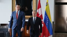 Guaidó en Canadá reconoce «riesgo de salir a denunciar la crisis»