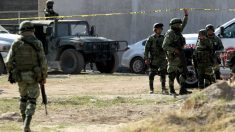 Hallan 10 cuerpos en dos vehículos en el estado mexicano de Guerrero