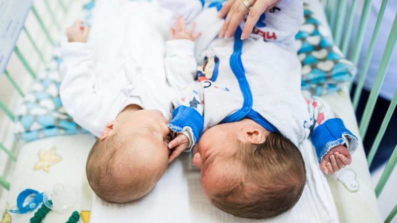 Los gemelos prematuros yacen en una cuna en la sala de partos prematuros del Hospital de Niños Heim Pal en Budapest, Hungría, el 15 de noviembre de 2019. EFE/EPA/Marton Monus/Archivo