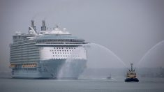 Turista canadiense muere al caer de un barco crucero en muelle de San Juan