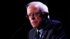 Los radicales de línea dura toman los lugares clave en la campaña de Sanders