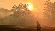 Incendios en Australia se fusionan en megaincendios que dificultan el acceso a cuerpos de socorro