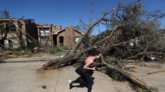 Dallas siembra miles de árboles para mitigar el calor tras los devastadores tornados de octubre