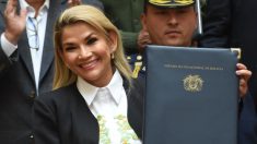 Jeanine Añez confirma candidatura a presidencia de Bolivia