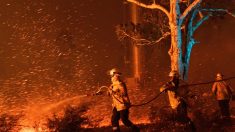 Australia moviliza 3000 reservistas ante crisis de incendios catastróficos