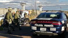 Detienen a 8 funcionarios por fuga de operador financiero de «El Chapo»
