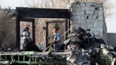 Kiev insiste ante Teherán en entrega de cajas negras de avión derribado