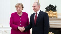 La canciller alemana y el presidente ruso discuten la crisis de Libia y el gasoducto Nord Stream 2