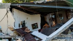 Terremoto en Puerto Rico: Confirman 786 viviendas dañadas y miles de refugiados