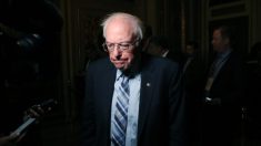 Ataques de demócratas a Sanders llegan demasiado tarde