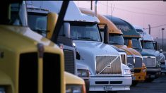 Juez federal protege a los camioneros independientes ante una ley de California