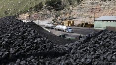 Ciudad costera de California en proceso de prohibir exportaciones de carbón