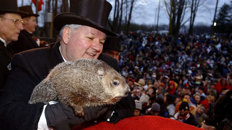 El manipulador oficial de marmotas Bill Deeley retiene a Phil de Punxsutawney el 2 de febrero de 2006 en Punxsutawney, Pennsylvania. (Jeff Swensen/Getty Images)