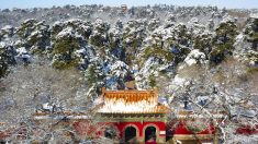 Poesía clásica china: versos de invierno de la dinastía Tang