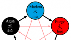 Comprensión de los cinco elementos la «Teoría del todo» de China en el «Clásico de tres caracteres»
