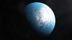 Científicos de la NASA descubren planeta del tamaño de la Tierra en zona “habitable” del espacio