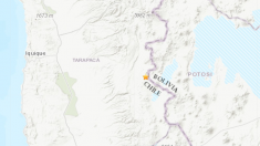Profundo sismo entre Chile y Bolivia sacude Los Andes e Iquique