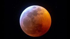 Raro eclipse de «Luna del lobo» anuncia la primera de las 13 lunas llenas de 2020