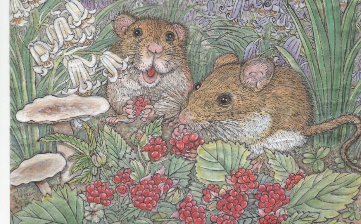 ‘El ratón trae alegría’ un par de ratones se dan un festín de bayas rojas
en un campo de narcisos y lirios para atraer alegría en el año de la rata que cae el 25 de enero de 2020. (Jane Ku/The Epoch Times)