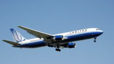 Pasajero de United Airlines ataca la cabina, a una azafata y hiere a 6 oficiales