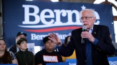 Sanders promete revertir las políticas de inmigración de Trump si es elegido Presidente