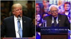 Trump: Juicio por impeachment está diseñado para perjudicar a Bernie Sanders