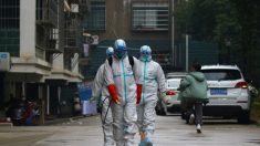 Internautas chinos cuestionan la fuente del brote de coronavirus