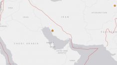Dos terremotos golpean a Irán «cerca de una central nuclear»