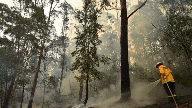 Un bombero aborda un incendio forestal al sur de Nowra, Australia, el 5 de enero de 2020. (Peter Parks / AFP a través de Getty Images)