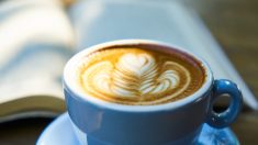 La biología del café, la mejor bebida de Estados Unidos