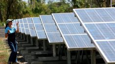 EDPR fecha acordo para venda de energia solar gerada no Brasil