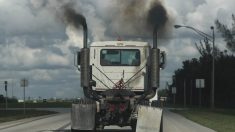 «Iniciativa Camiones Limpios» en 50 estados busca mejorar calidad del aire en EE.UU.