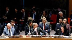 UE reitera apoio a acordo nuclear com Irã em reunião no Conselho de Segurança