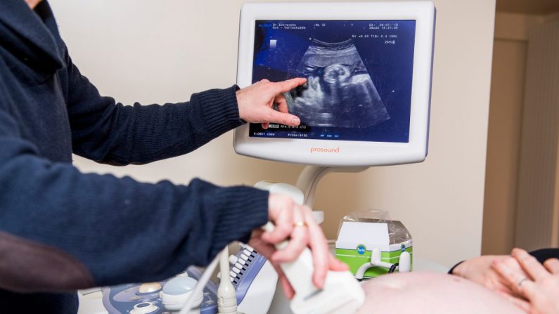 Una mujer embarazada recibiendo un examen de ultrasonido en una fotografía ilustrativa. (Jasper Jacobs/AFP/Getty Images)