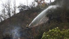 Incendio forestal obliga a autoridades chilenas a cerrar parque nacional