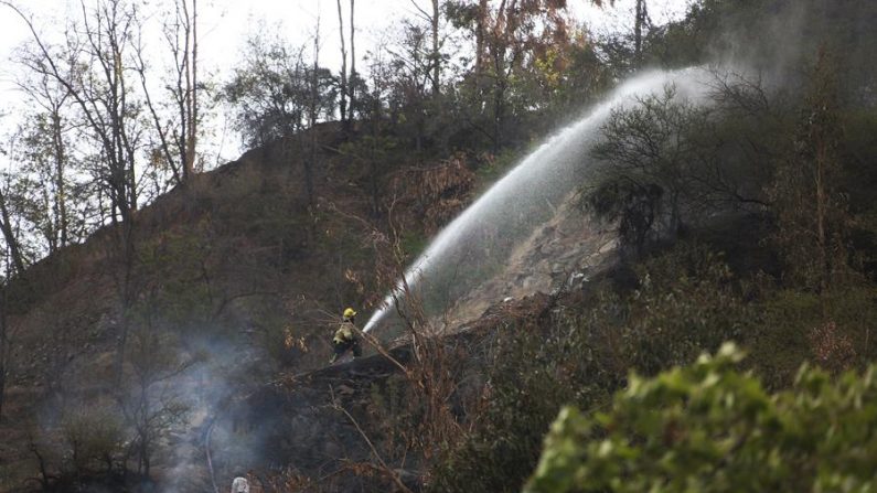 El incendio, que fue calificado por el director de Corporación Nacional Forestal (Conaf), José Manuel Rebolledo, como el “más grande de la temporada”, sigue en activo desde el pasado 9 de febrero en la región del Maule, a unos 200 kilómetros al sur de Santiago de Chile. EFE/ Elvis González/Archivo