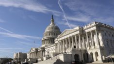 Trump promulga ley de ayuda contra el virus del PCCh tras aprobarse horas antes en el Senado
